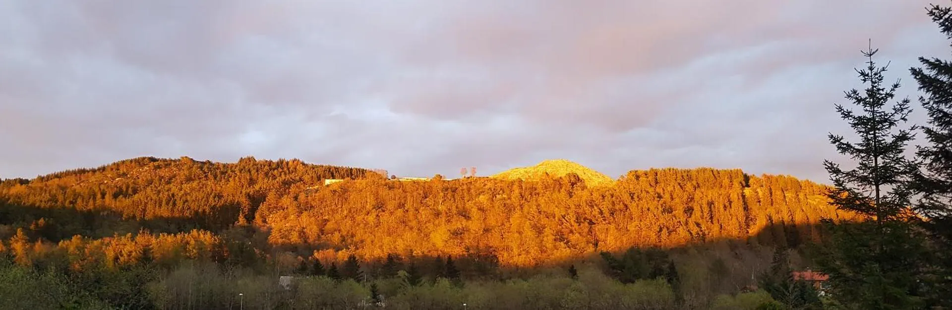 Apartmán Fjordclaw Snm- Adjoining The Bergen City & Nature
